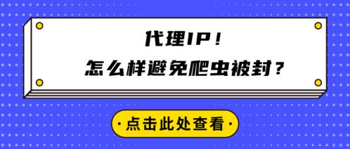 代理IP在避免爬蟲被封中的應用與廣告設計規(guī)范